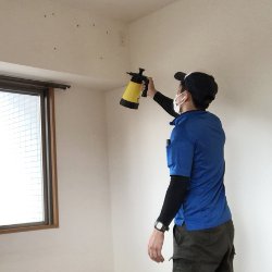 消臭、害虫駆除