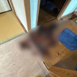 冬場とはまるで違う？真夏の特殊清掃が過酷な理由
